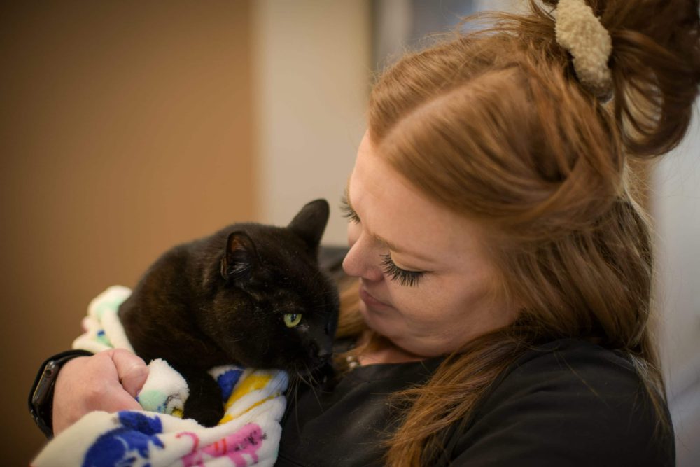 Vet Tech holding a cat in Gallatin TN