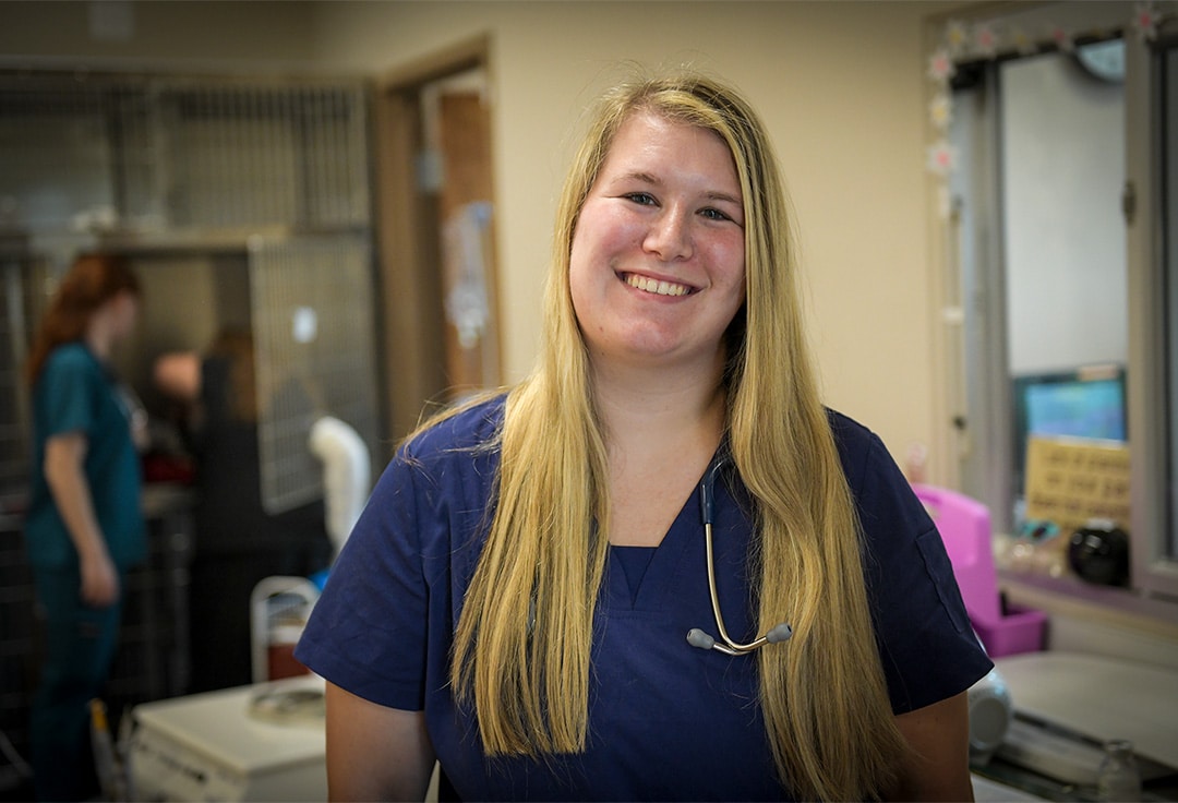 Alison Trevor White Veterinary Assistant at Bluegrass Veterinary Hospital in Gallatin, TN